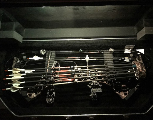 Open case with bow and arrows.